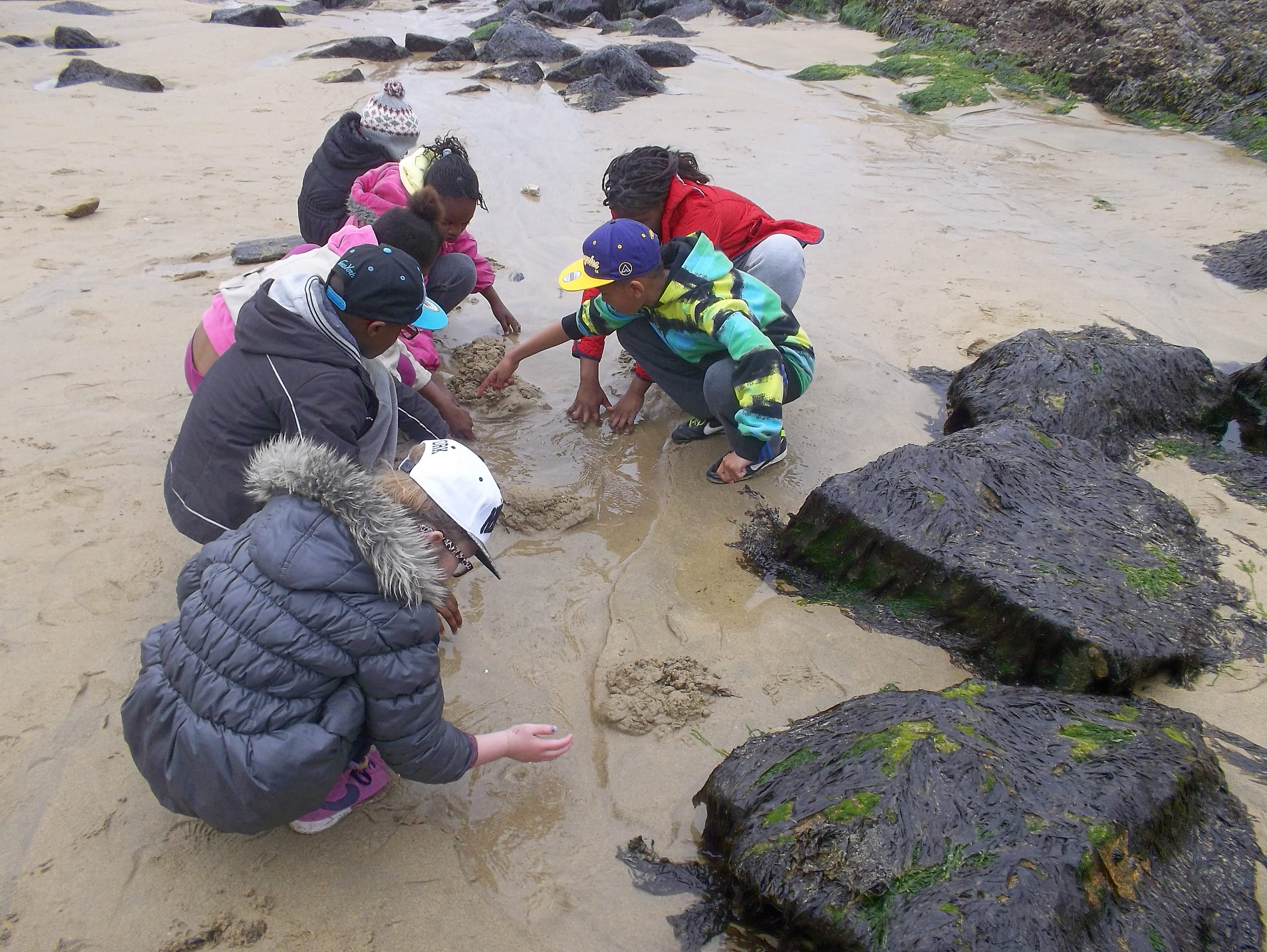 Beach-combing